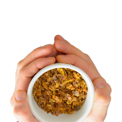 Propolis Nedir? Faydaları Nelerdir?