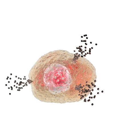 Lökosit Yüksekliği Nedir?