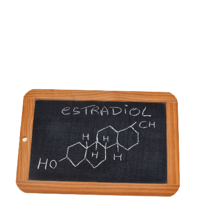 Estradiol Hormonu Nedir? E2 Ne İşe Yarar?