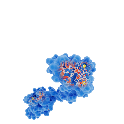 Metabolizma Ne Demektir?