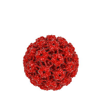 HPV Nedir? Belirtileri ve Tedavi Yöntemleri Nelerdir?