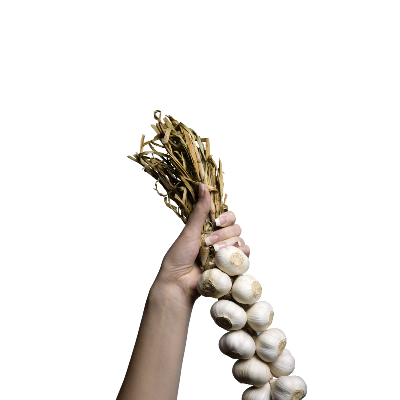 Doğal Antibiyotik Sarımsak Neye İyi Gelir?