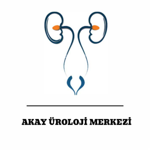 Prof. Dr. Ali Ferruh Akay