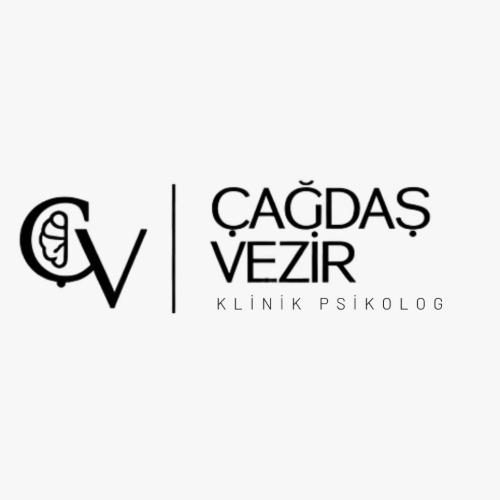 ÇAĞDAŞ VEZİR