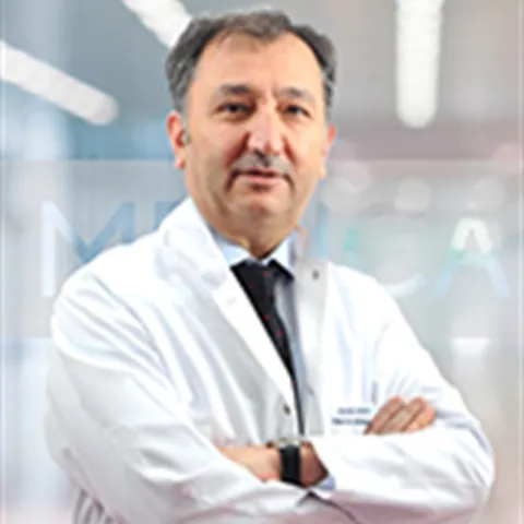 Prof. Dr. PROF. DR. ERDOĞAN İLKAY