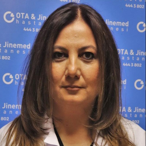 Dr. Öğr. Üyesi GÜNSELİ ÖZDEMİR