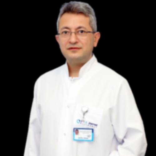 Prof. Dr. MEHMET GÜNGÖR KAYA