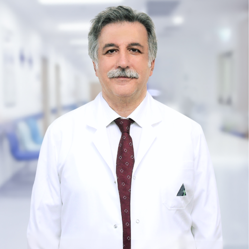 Prof. Dr. FAHRETTİN KELEŞTEMUR