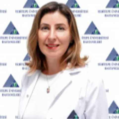 Doz. Dr. İLKE BAHÇECİ ŞİMŞEK