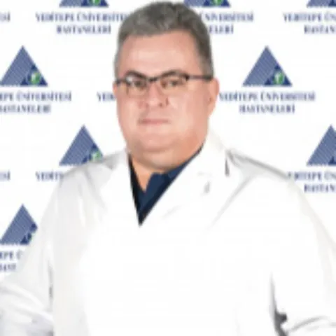 Dr. Öğr. Üyesi TANJU DEMİRÖREN