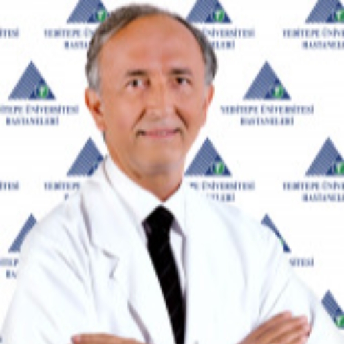 Prof. Dr. FAİK ALTINTAŞ
