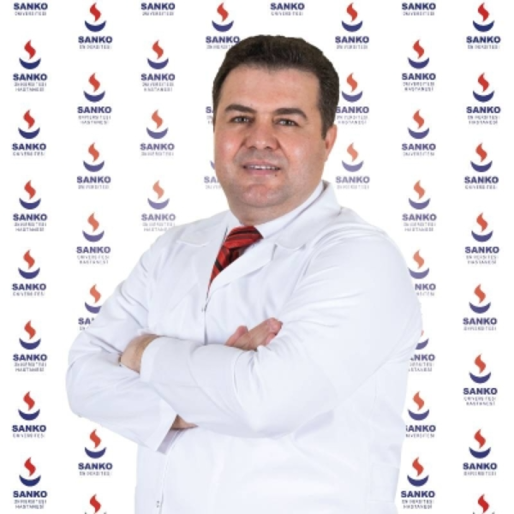 Dr. Öğr. Üyesi MUSTAFA TANRIVERDİ