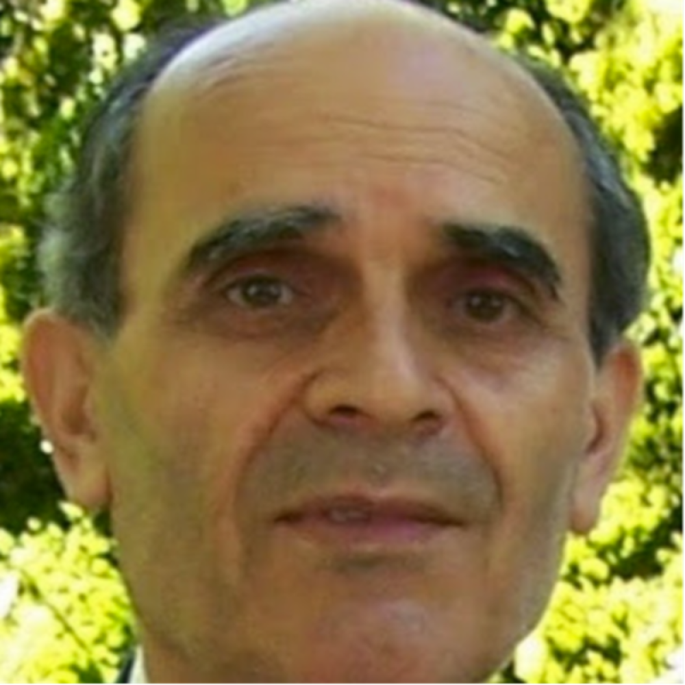 İxt. Dr. MEVLÜT GÜL TORAN