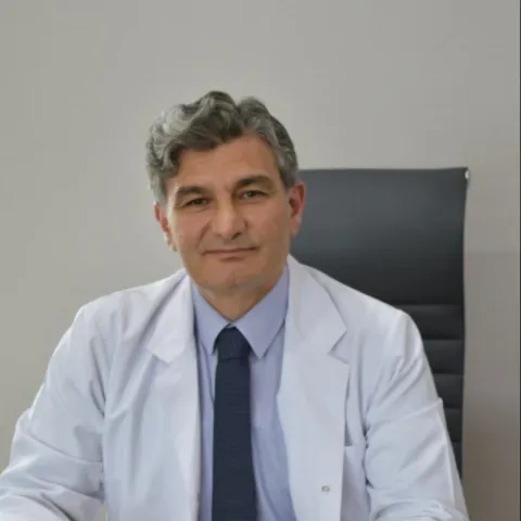 Prof. Dr. ALİ AKÇAY