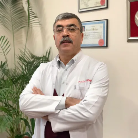 Prof. Dr. SEDAT DEMİR