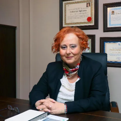 Prof. Dr. Deniz Özzeybek