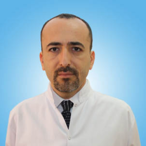 Prof. Dr. Korcan Demir