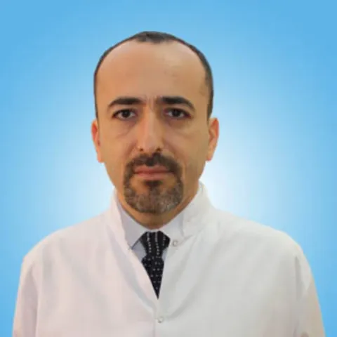 Prof. Dr. Korcan Demir