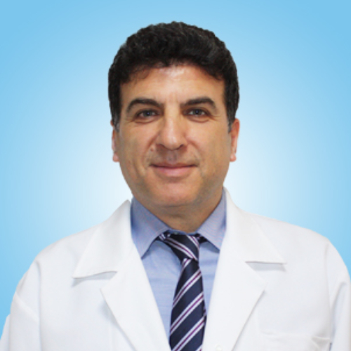 Prof. Dr. Recep Bekis