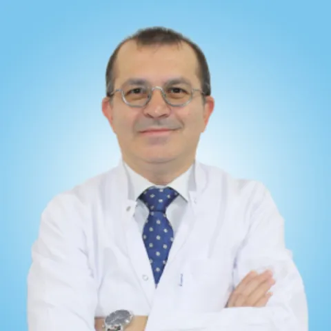 Prof. Dr. Mehmet Ali Özcan