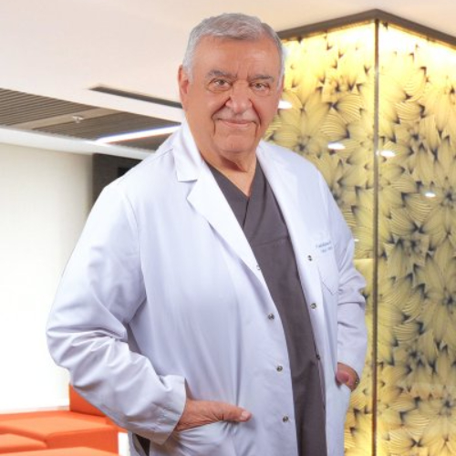 Prof. Dr. GÜVEN SEVİN