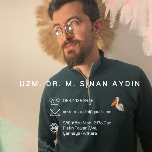 Dr. MEHMET SİNAN AYDIN