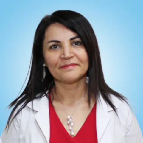 Prof. Dr. Aynur Akay