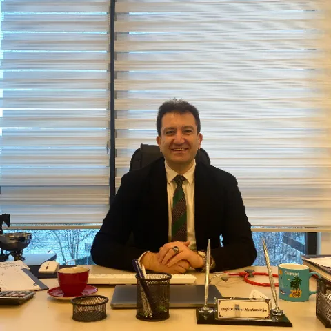 Prof. Dr. BÜLENT HACIHAMDİOĞLU