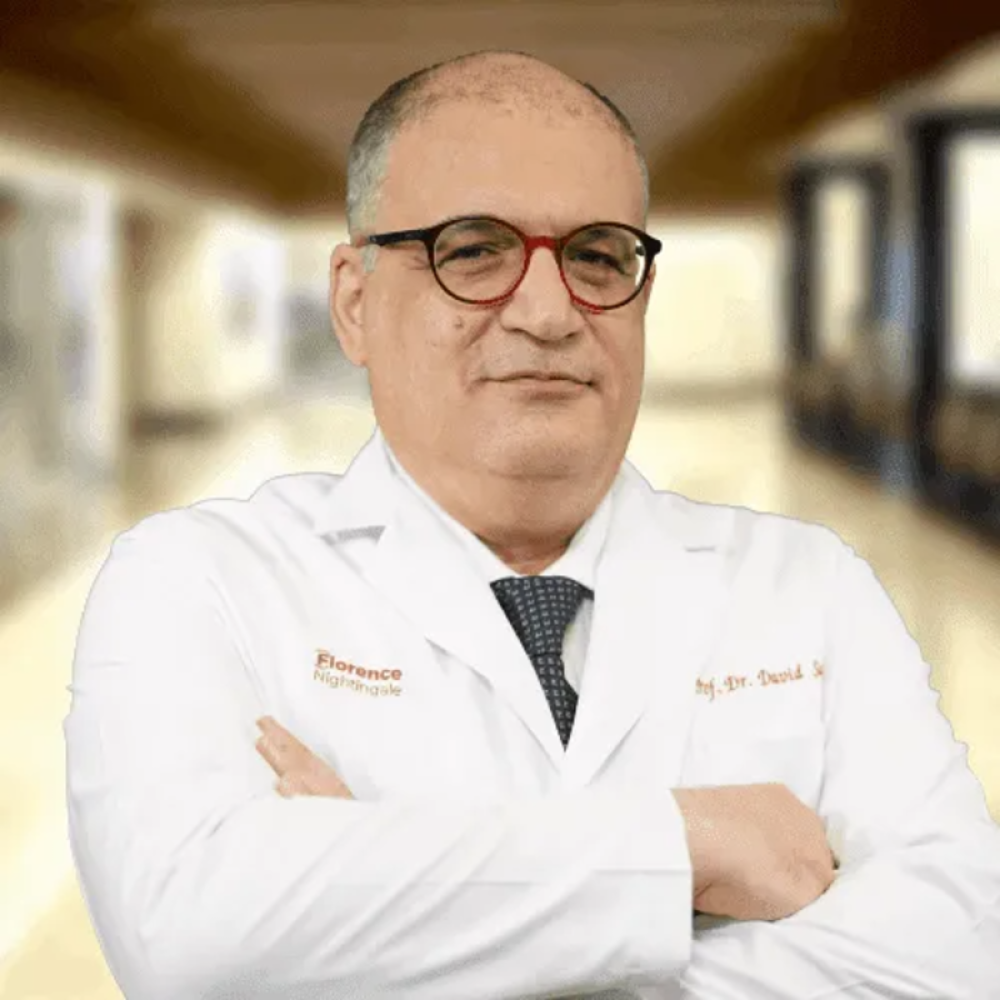 Prof. Dr. DAVİT SABA