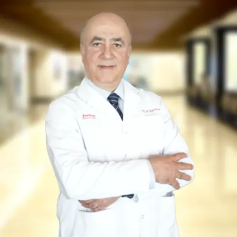 Dr. Öğr. Üyesi BÜLENT POLAT