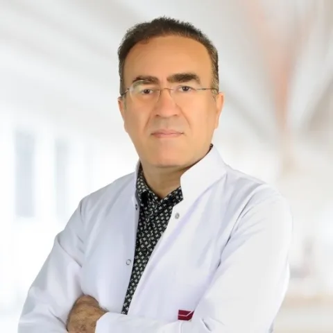 Doz. Dr. AHMET BÜLENT KARGI