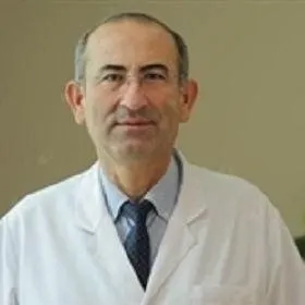 Prof. Dr. SEFA GÜLİTER