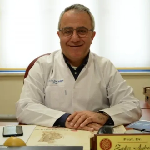 Prof. Dr. ZAFER AYBEK