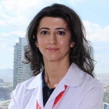 PROF. DR. EBRU AKGÜL ERCAN