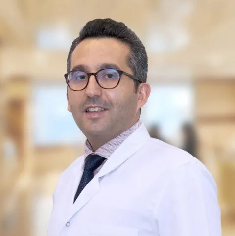 Asst. Prof. MİTHAT TERZİ