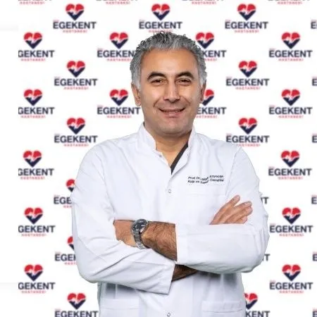 PROF. DR. BİLGİN EMRECAN