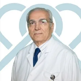 Prof. Dr. HULUSİ KOÇAK