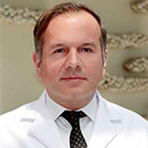 Prof. Dr. ONAT ÜZÜMCÜGİL