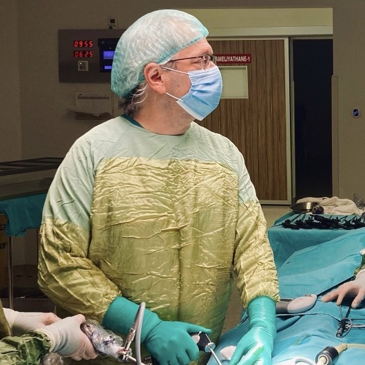 PROF. DR. HALUK CEYLAN