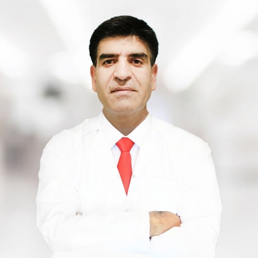 Spec. Dr. HAMİDULLAH HAQMAL
