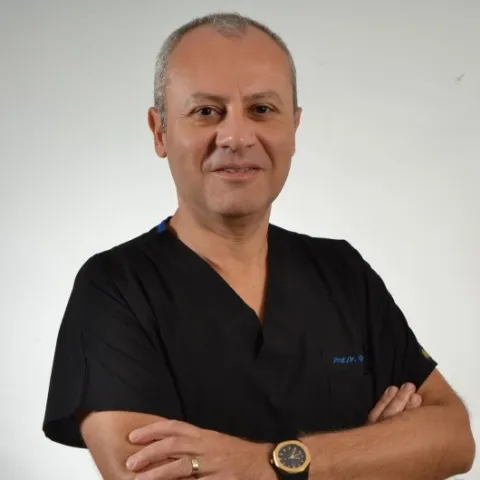 Prof. Dr. ALP GURBET