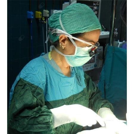 PROF. DR. SEHER DEMİRER