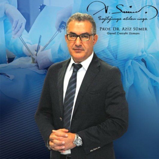 PROF. DR. AZİZ SÜMER