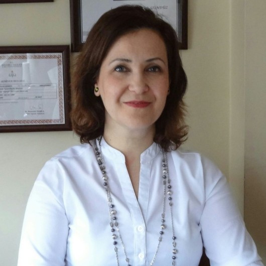 DİLEK FİRDEVS GÜNDÜZ DİLEK FİRDEVS GÜNDÜZ