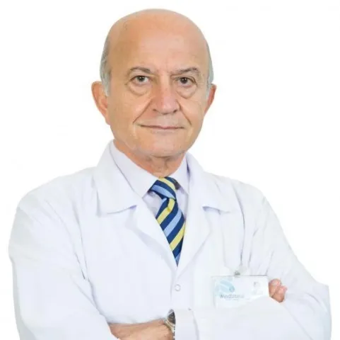 Prof. Dr. ADİL BAYKAN