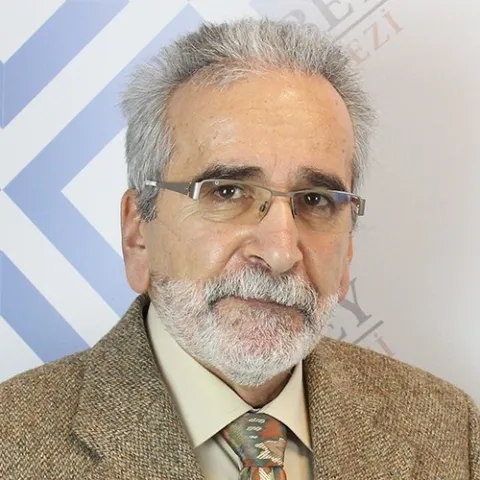 Prof. Dr. SITKI PERÇİN