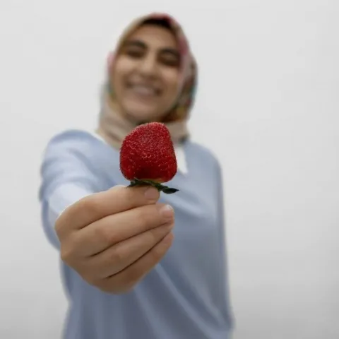 Diyet. MERVE ERDEM