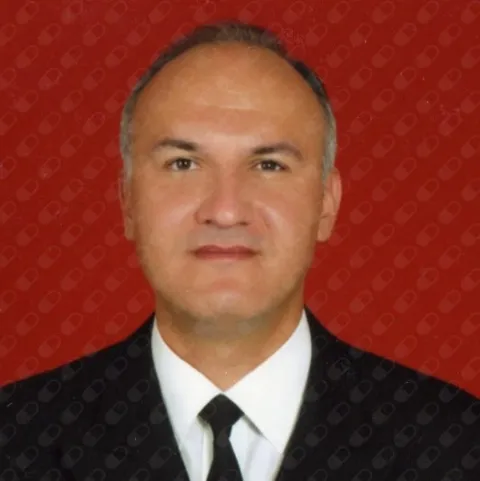 Prof. Dr. BÜLENT SATAR