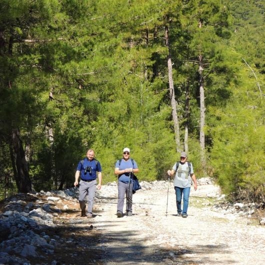 UZM. DR. ATİLLA GEMİCİ