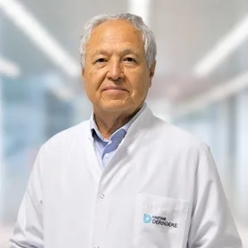Prof. Dr. MEHMET KÜLEKÇİ